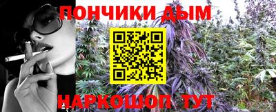 шишки Краснодар