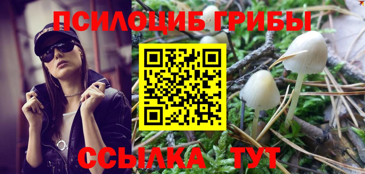 Псилоцибиновые грибы Cubensis  Вход с VPN  купить наркотики сайты  Галлюциногенные грибы ЛСД  Ейск 