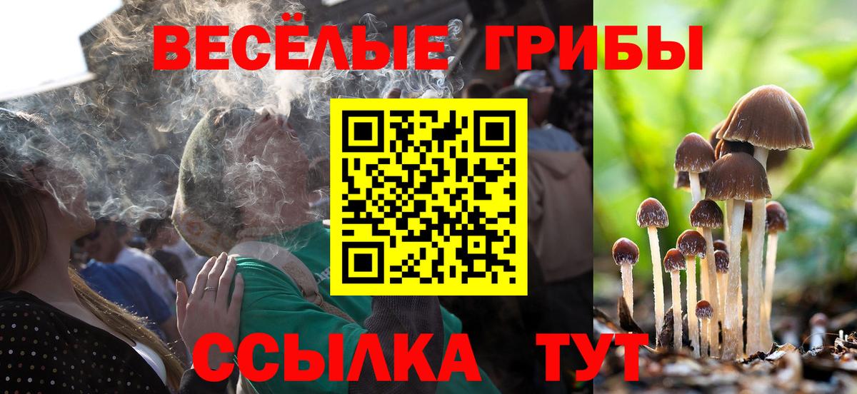 Галлюциногенные грибы мицелий Ейск